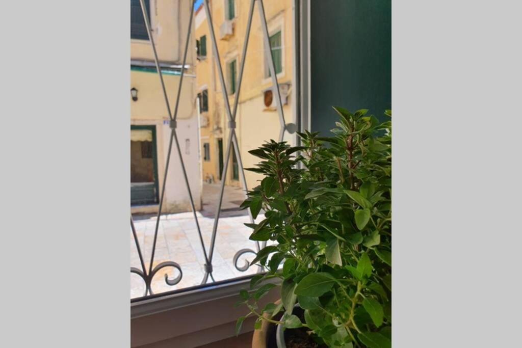 Elia Luxury Suite, Corfu Town المظهر الخارجي الصورة